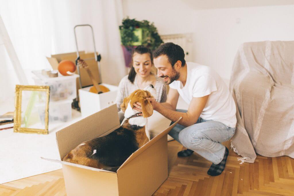 Your Ultimate Guide to Finding the Perfect Renter